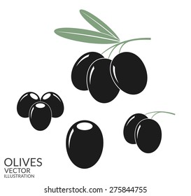 Black olives and marinated olives. Vector illustration