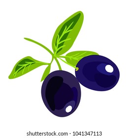 Black olives on a branch. Appetizing fruit on a white background. Isolated object for the menu of the restaurant and cafe. Vector illustration