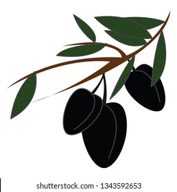 Black olives on a branch simple vector illustration on white background 