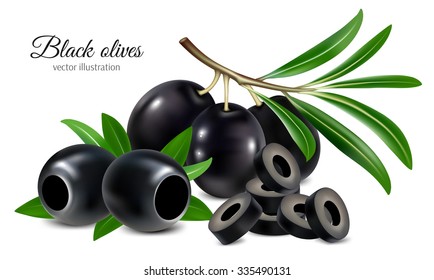 Black olives on a twig with leaves, pitted olives and olives slices. Vector illustration.