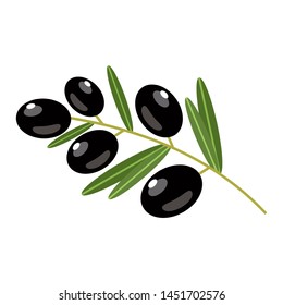 Black olives on a white background. Vector illustration