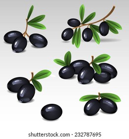 Black olives set