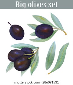 black olives set - vector illustration