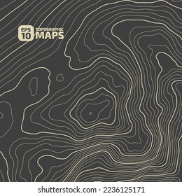 Negro sobre contornos grises topografía vectorial estilizada altura de las líneas. El concepto de un esquema geográfico condicional y el camino del terreno. 1x1 Tamaño. Mapa sobre el terreno vectorial de tierra Ilustración.
