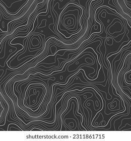 Black on gray contours vector topography stylized height of the lines. The concept of a conditional geography scheme and the terrain path. 1x1 Size. Map on land vector terrain Illustration.