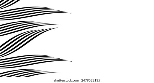 Black on white abstract perspective line wave stripes with 3d dimensional effect isolated on white background