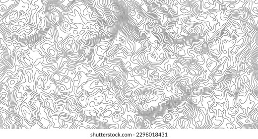 La topografía vectorial de contorno negro sobre blanco estilizó la altura de las líneas. El concepto de un esquema geográfico condicional y el camino del terreno. Gran tamaño. Mapa sobre el terreno vectorial de tierra Ilustración.