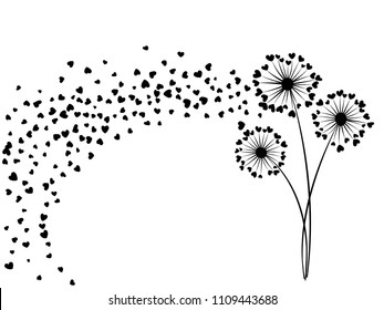 Black on white vector dandelion herbs, meadow flowers illustration. Floral cute background design with dandelion blowing plant. Flowers with heart shaped feather flying. Abstract flying heart petals.