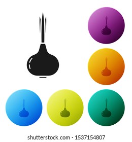 Black Onion icon isolated on white background. Set icons colorful circle buttons. Vector Illustration