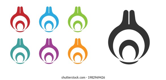Black Onion icon isolated on white background. Set icons colorful. Vector