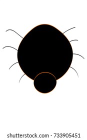 Black and orange cartoon shadow spider vector llustration halloween concept isolated on a white background