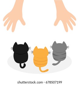 Black, orange, gray kittens looking up to human hand. Cute cartoon funny character.  Adopt me. Helping hands concept. Flat design White background Isolated Vector
