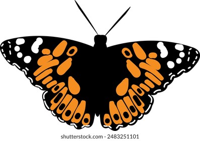 Black and Orange Painted Lady Butterfly on a White Background. Majestic Flying Insect. Wildlife in the Summer Garden. Nature Inspired Spring Design