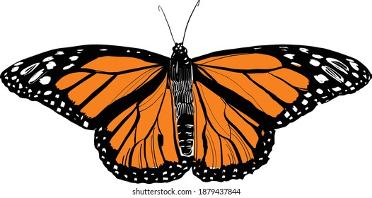 Realistic 3d Monarch Butterfly Colorful Bright Stock Vector (Royalty ...