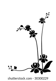 Black orchid