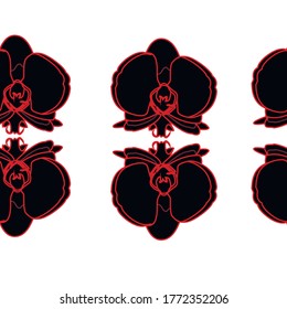 black orchid with red stroke on a white background pattern
