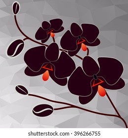 black orchid vector illustration