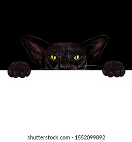 Black oriental cat holding white paper banner in paws, black background, hand drawn vector illustration.
