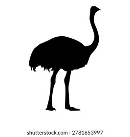 Black ostrich silhouette vector. Large african bird shape. Wildlife bird icon isolated on transparent background.