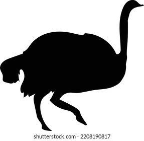 Black Ostrich Silhouette Vector Logo