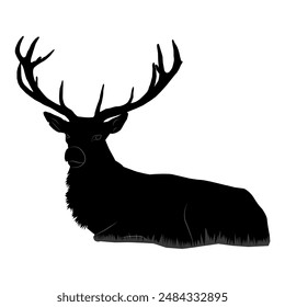 Black outline of an adult deer with large antlers lying on a white background. Vector