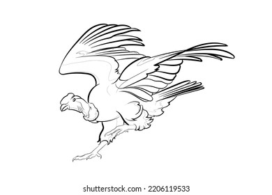 Cóndor andino de contorno negro (Vultur gryphus) sobre fondo blanco. Dibujo gráfico. Ilustración vectorial.