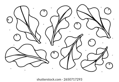 Imagem de fundo de contorno preto de alface, alimentos saudáveis, dieta, design simples, desenho à mão