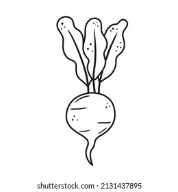 Black outline beet icon. Hand drawn beetroot drawing. Sketch vegetable illustration. Doodle silhouette of harvest element
