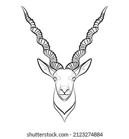 Black outline blackbuck (Antilope cervicapra) on white background. Graphic drawing. Vector illustration.