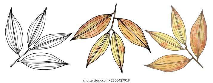 Black outline of a branch with leaves on a white background. Yellow leaves. Autumn background for coloring books, covers, backgrounds, patterns and designs.