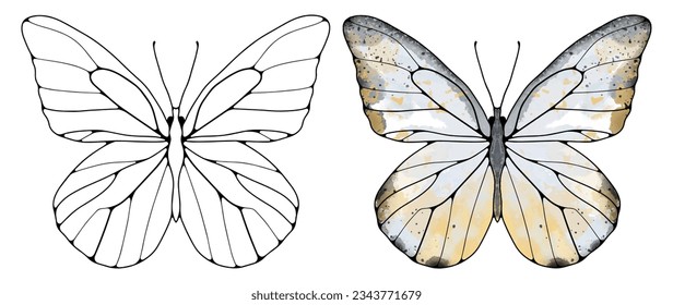 Black outline of a butterfly and a colored gray-beige butterfly on a white background. Object for decor, wallpapers, coloring pages, backgrounds, social media posts
