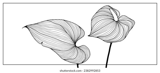 Black outline of calla flower and leaf on a white background. Handmade floral silhouette for coloring, publishing in books and magazines, creating designs and patterns.