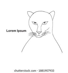 Black outline cat on white art design element Lorem Ipsum stock vector illustration for web, for print