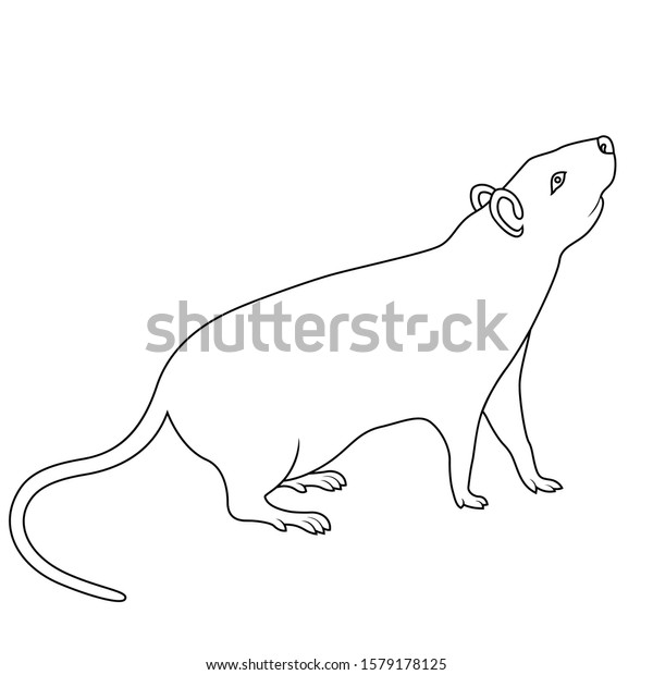 Black Outline Chinese Zodiac Sign Rat Stock Vector (Royalty Free ...