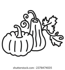 black outline for coloring. pumpkin close up. simple children's coloring book for toddlers. linear icons.