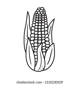 Black outline corn icon. Hand drawn drawing. Sketch vegetable illustration. Doodle silhouette of harvest element
