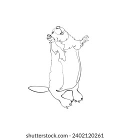 Black outline cute beaver on white background. Graphic drawing. Vector illustration.