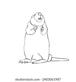 Black outline cute beaver on white background. Graphic drawing. Vector illustration.