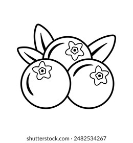 Black Outline Cute Blueberry drawing with leaf Icon clipart fruit vector illustration design for kids and children coloring books for learning fruits and alphabet isolated on transparent background