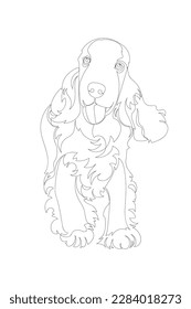 Black outline cute Cocker Spaniel on white background. Graphic drawing. Vector illustration.