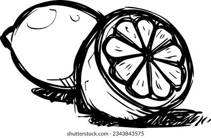 black outline doodle lemons vector on white background