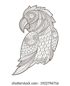 Black outline doodle parrot cockatiel illustration isolated on a white background for coloring page, book, tattoo, graphic design.