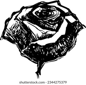 vector rosa del doodle de contorno negro sobre fondo blanco