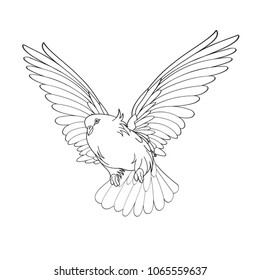 black outline dove flying vector cartoon