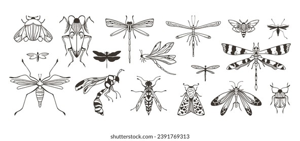 Black outline dragonfly, beetle, moth and butterfly clipart bundle, mystic ornamental black and white insects silhouettes in vector, hand drawn sketched isolated entomological elements