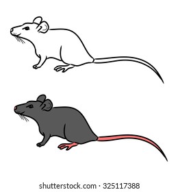 Black outline and drawing grey mouse on white background