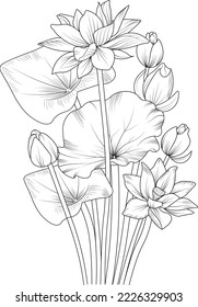 Black outline drawing perfect for coloring page or book for children or adults blossom flower lotus isolated on white background clip art
