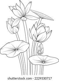 Schwarze Umrisszeichnung perfekt für die Färbung von Seite oder Buch für Kinder oder Erwachsene.lotus blüht Blumen und Zweig-Vektorgrafik. handgezeichnete Vektorgrafik Schwarz-Weiß-Farbskunst.