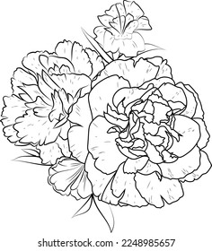 Black outline drawing is perfect for coloring pages or books for children or adults, and carnation flower sketch art is isolated on white background.