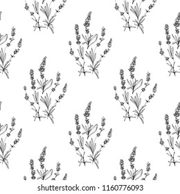 Black outline floral seamless pattern with lavender flowers sketch. Botanical pen illustration on white background. Vector pattern or card design. Vintage book sketch.